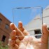 سلول خورشیدی شفاف